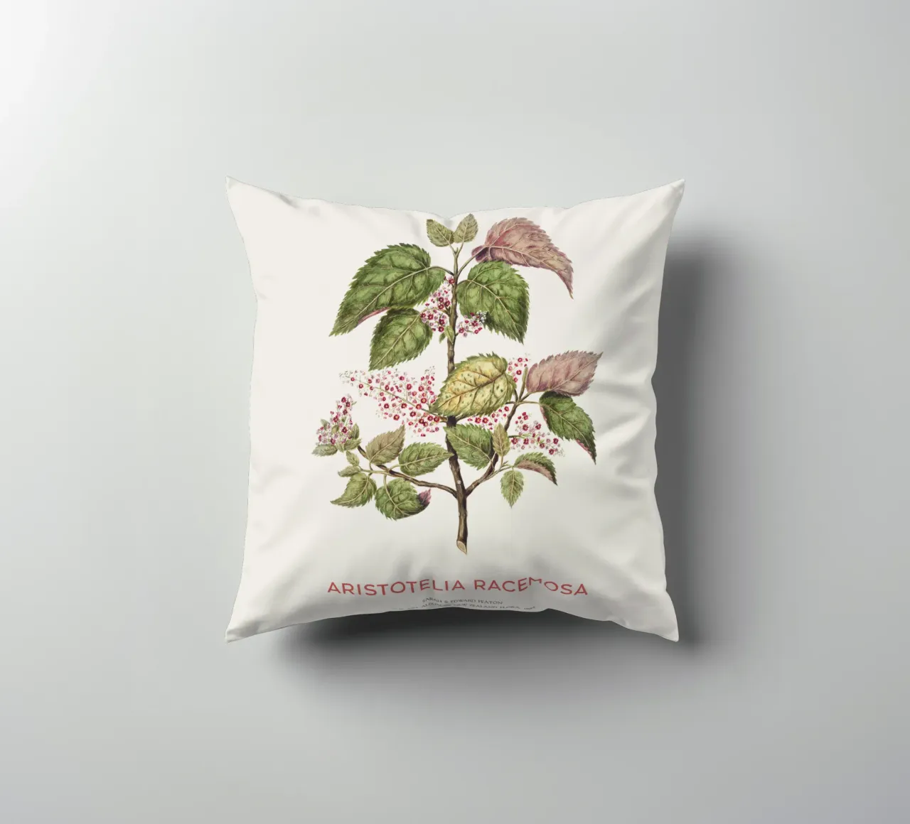 Uva di mare o Aristotelia racemosa cuscino da Vintagrafica