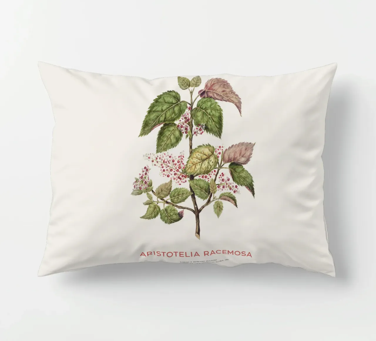 Uva di mare o Aristotelia racemosa cuscino da Vintagrafica
