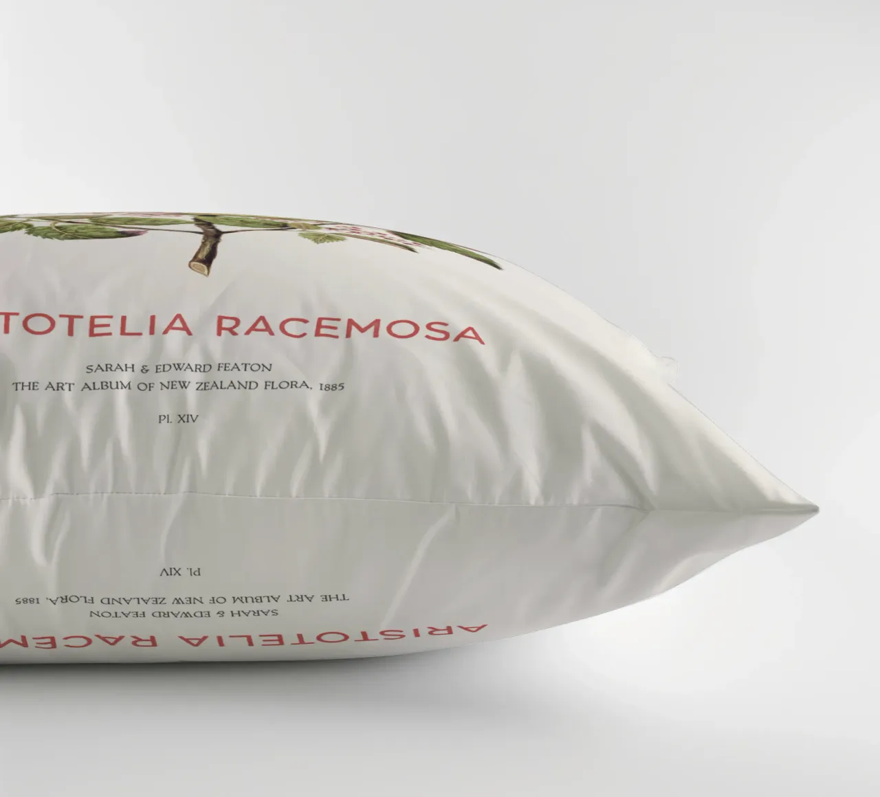 Uva di mare o Aristotelia racemosa cuscino da Vintagrafica