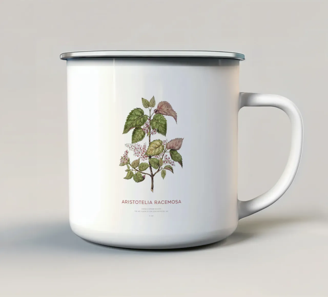 Uva di mare o Aristotelia racemosa tazza in smalto da Vintagrafica