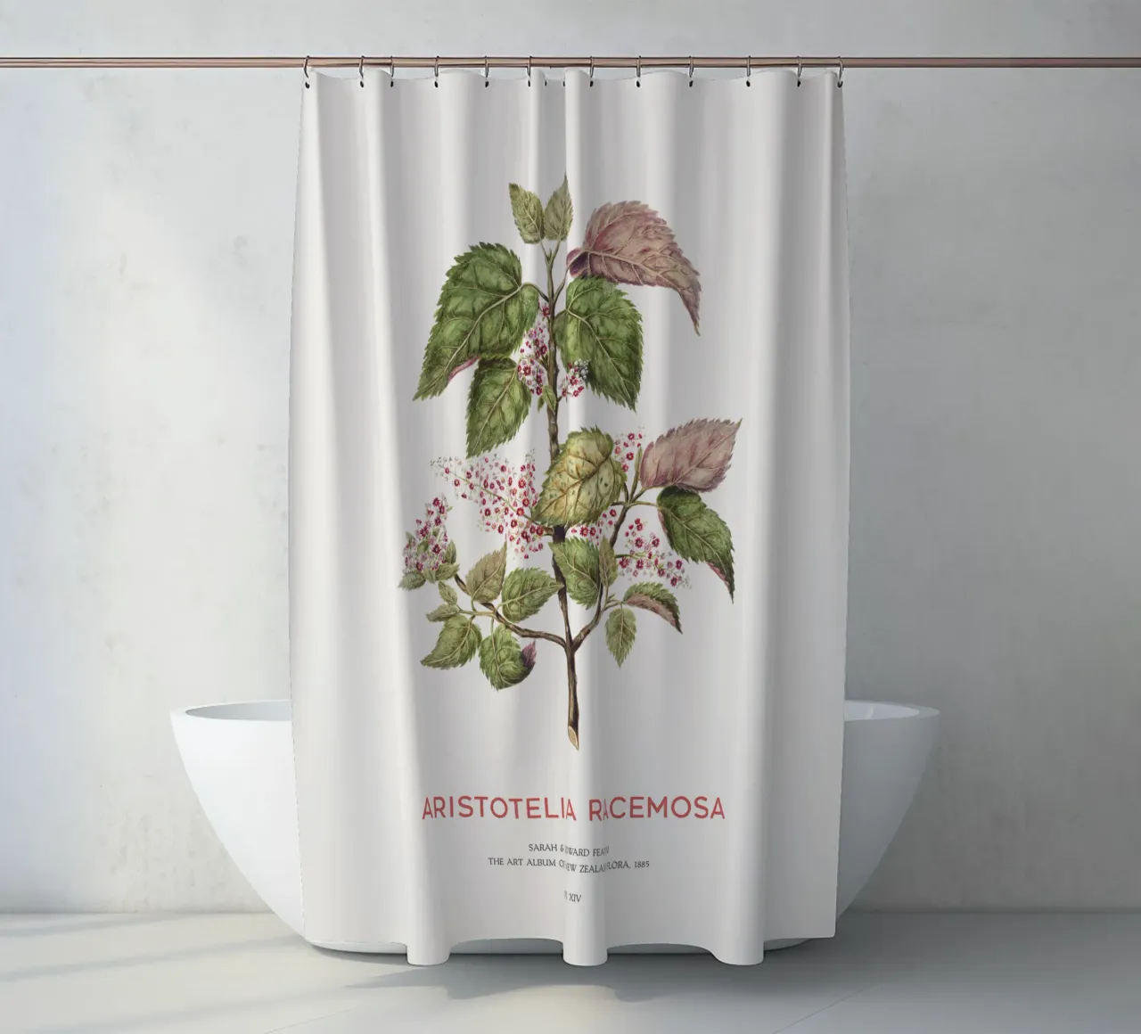 Uva di mare o Aristotelia racemosa tenda da doccia da Vintagrafica