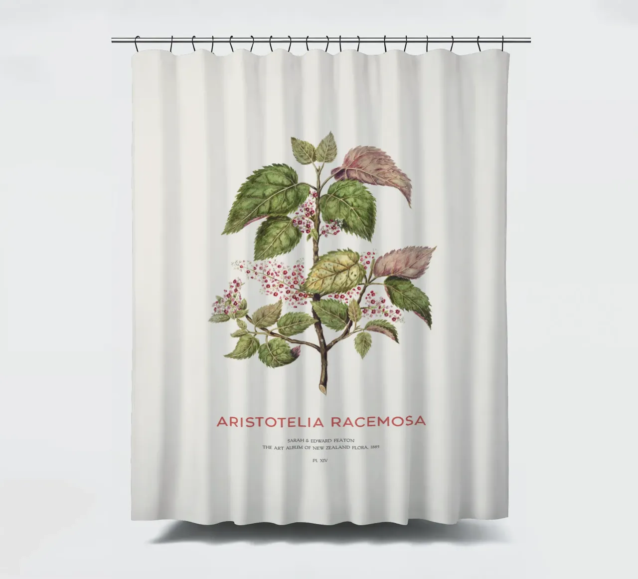 Uva di mare o Aristotelia racemosa tenda da doccia da Vintagrafica