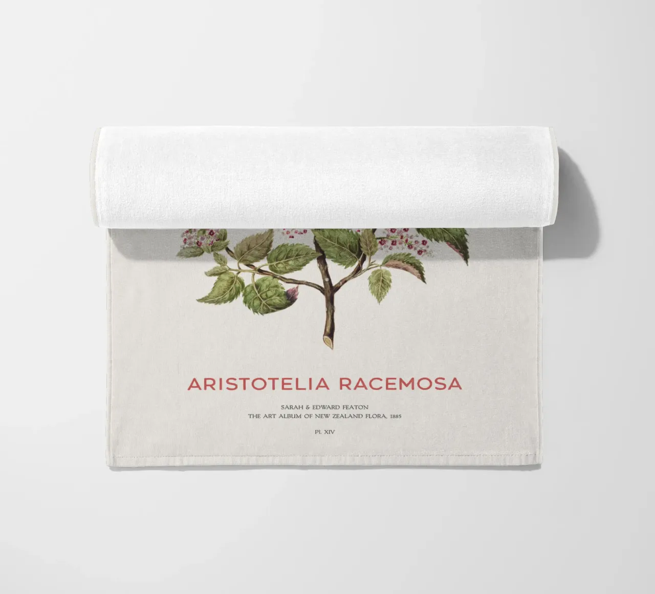 Uva di mare o Aristotelia racemosa telo mare da Vintagrafica