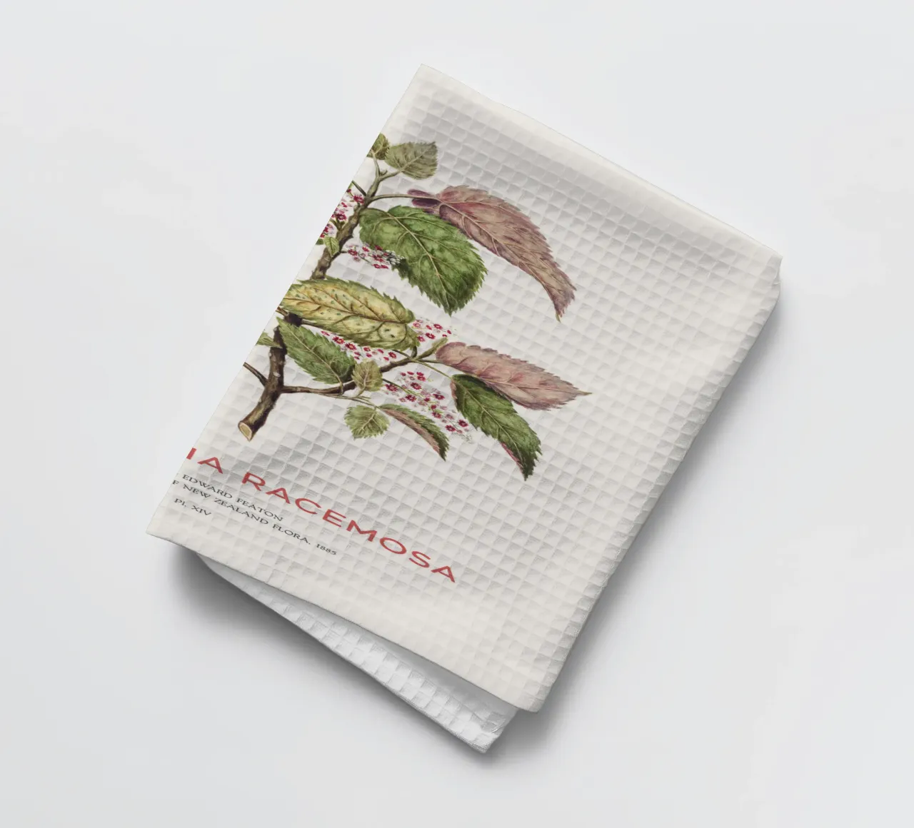 Uva di mare o Aristotelia racemosa canovaccio da cucina da Vintagrafica