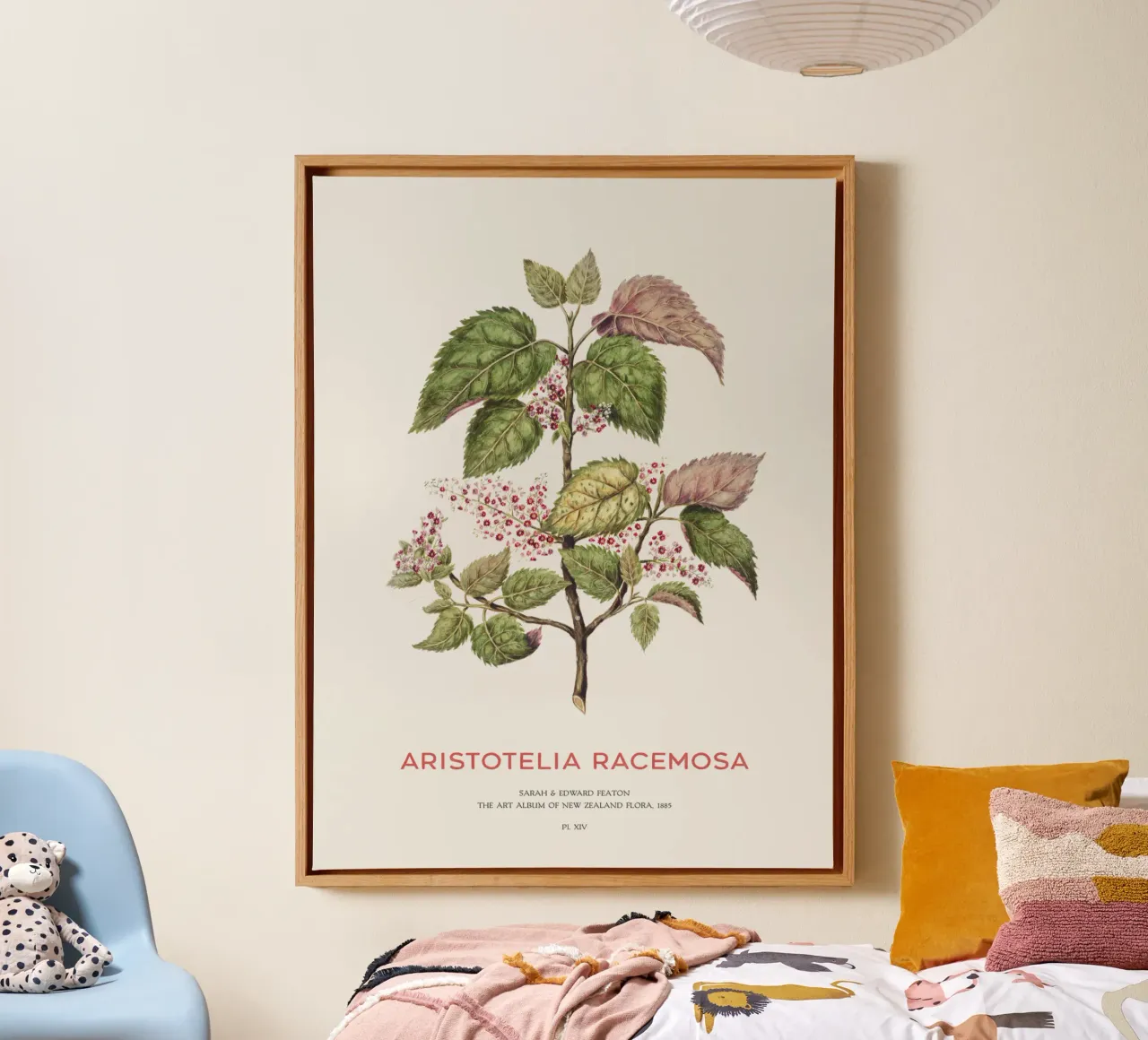 Uva di mare o Aristotelia racemosa tela con Cornice a cassetta da Vintagrafica