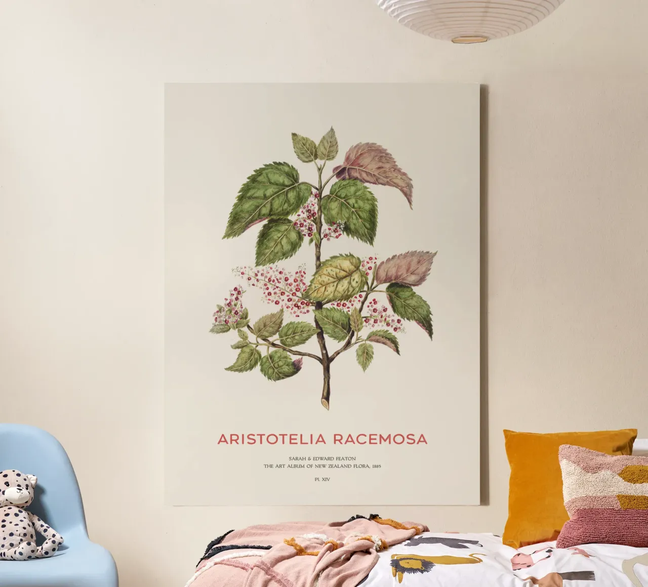 Uva di mare o Aristotelia racemosa tela con Cornice a cassetta da Vintagrafica