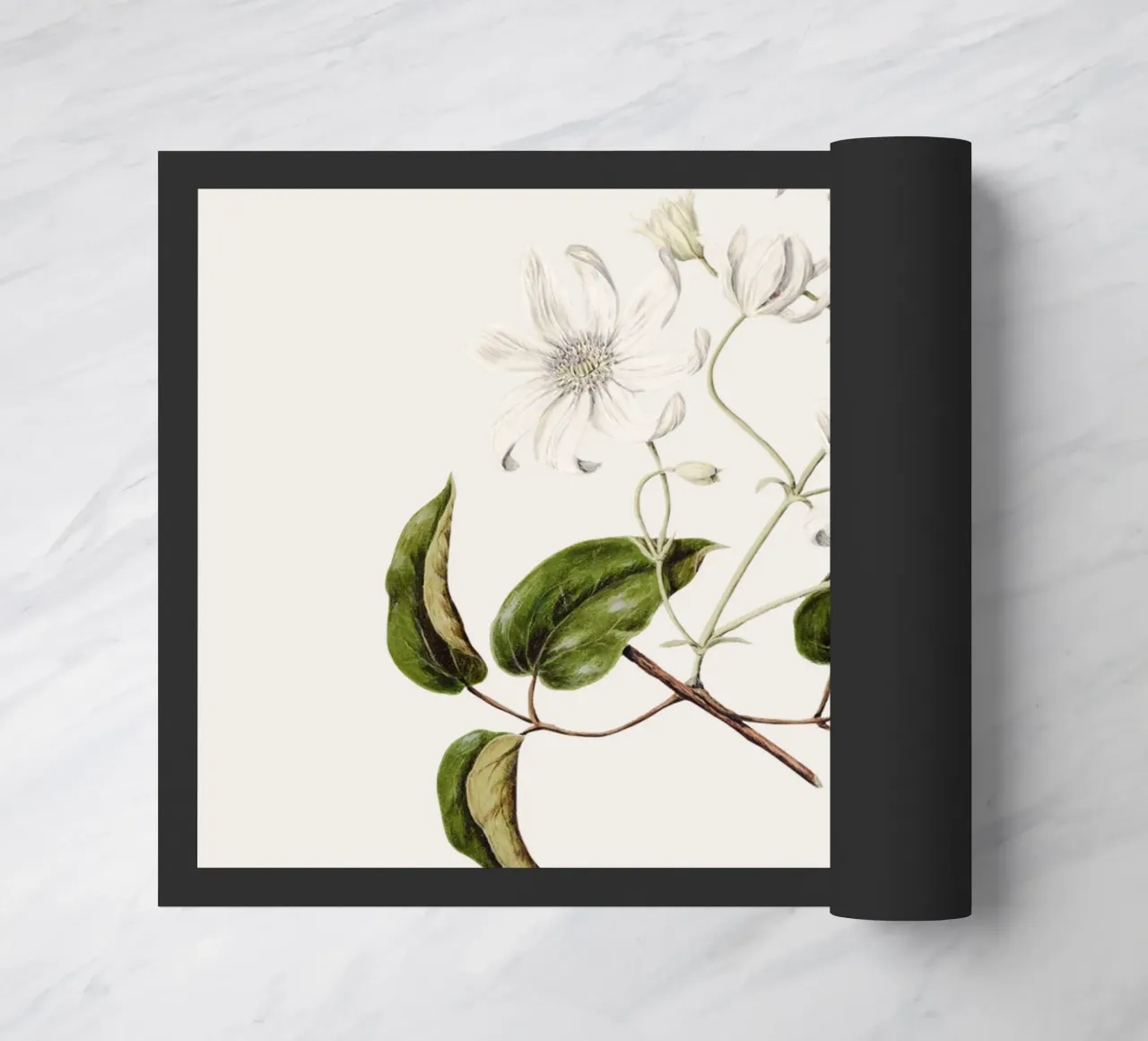 Fiori di Puawananga o Clematis indivisa zerbino da Vintagrafica