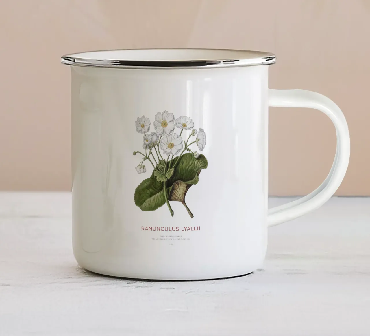 Giglio di Mount Cook o Ranunculus lyallii tazza in smalto da Vintagrafica