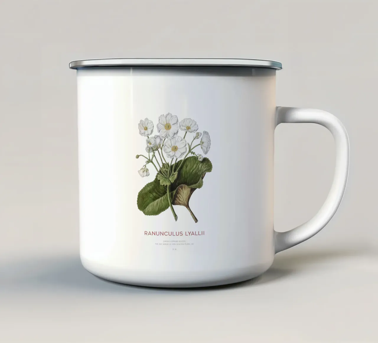 Giglio di Mount Cook o Ranunculus lyallii tazza in smalto da Vintagrafica