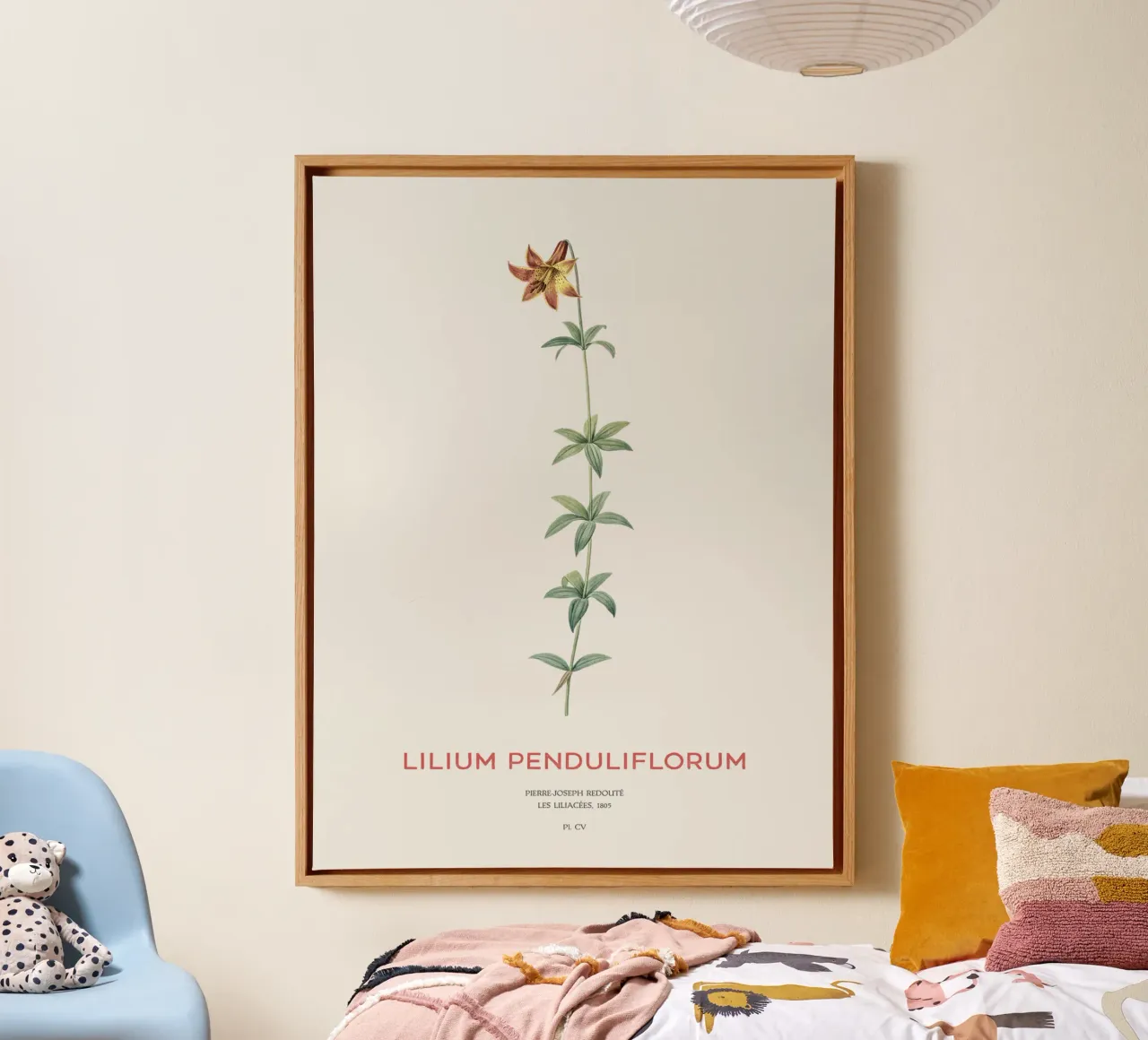 Canadese lelie of Lilium penduliflorum canvas met Baklijst van Vintagrafica