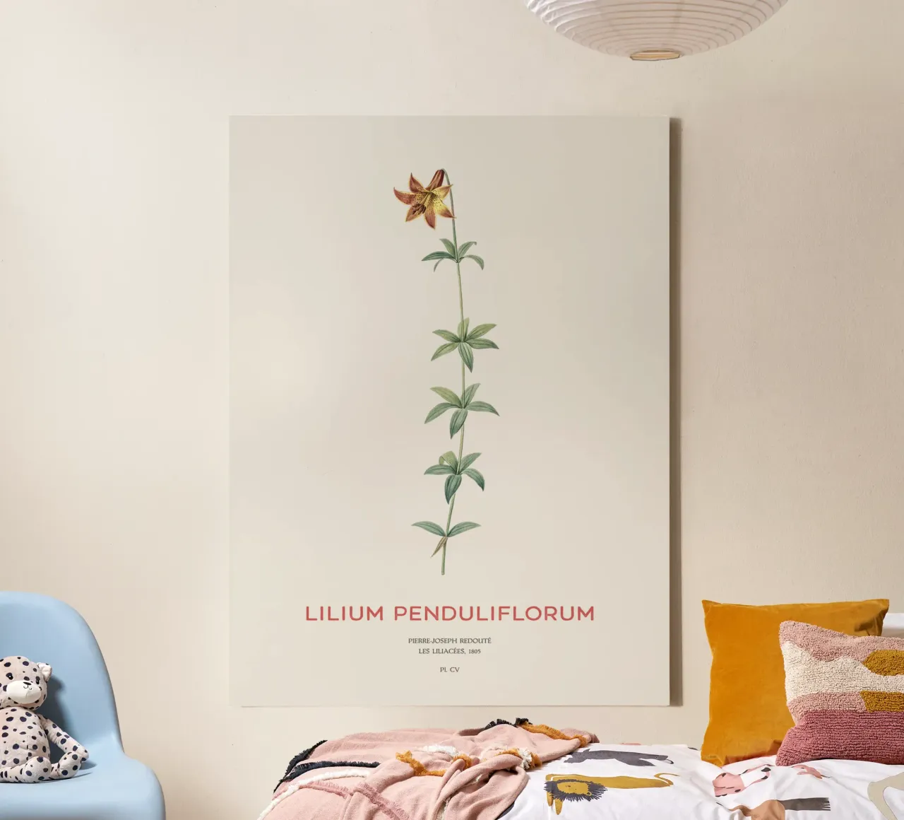 Canadese lelie of Lilium penduliflorum canvas met Baklijst van Vintagrafica