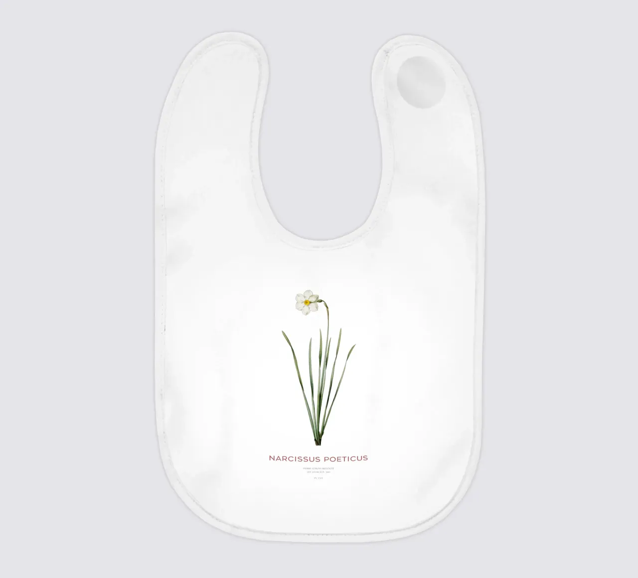Narciso poetico o Narcissus poeticus bavaglino da Vintagrafica