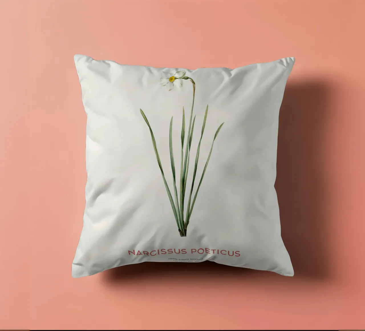 Narciso poetico o Narcissus poeticus cuscino da Vintagrafica