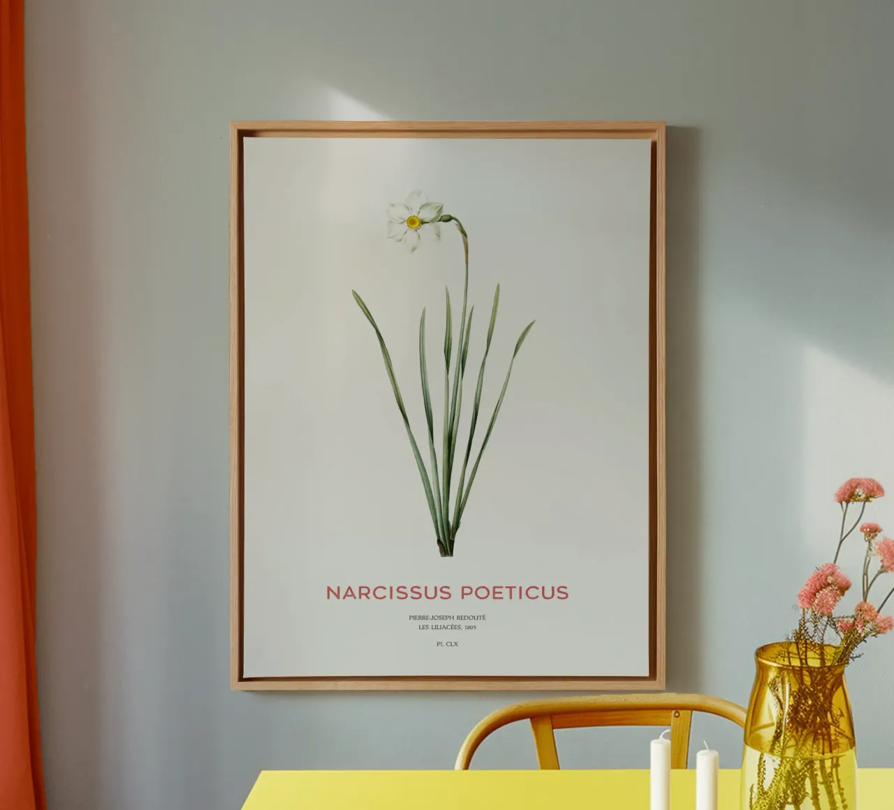 Narciso poetico o Narcissus poeticus tela con Cornice a cassetta da Vintagrafica