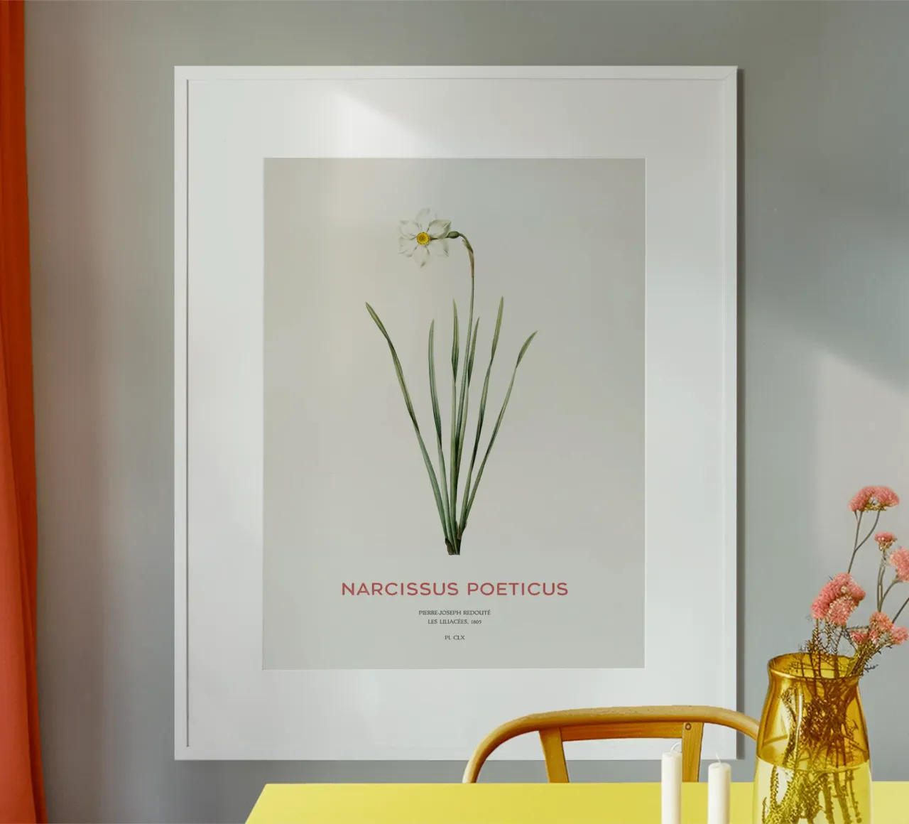 Narciso poetico o Narcissus poeticus poster da Vintagrafica