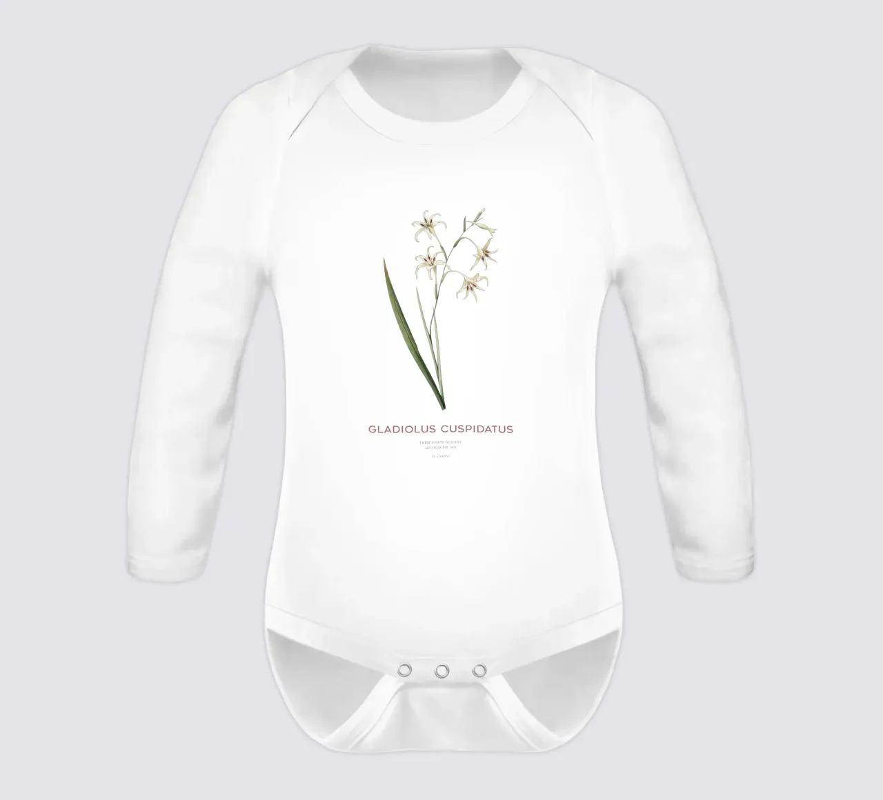 Wilde Gladiole oder Gladiolus cuspidatus Langarm Babybody von Vintagrafica