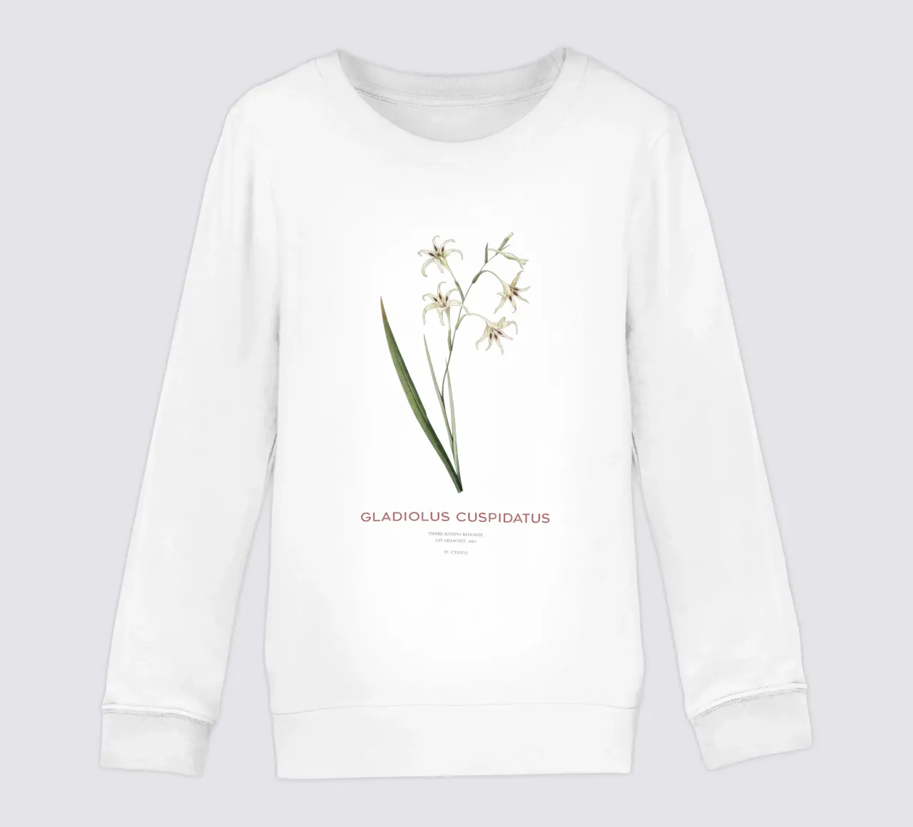 Wilde Gladiole oder Gladiolus cuspidatus Kinder Sweatshirt von Vintagrafica