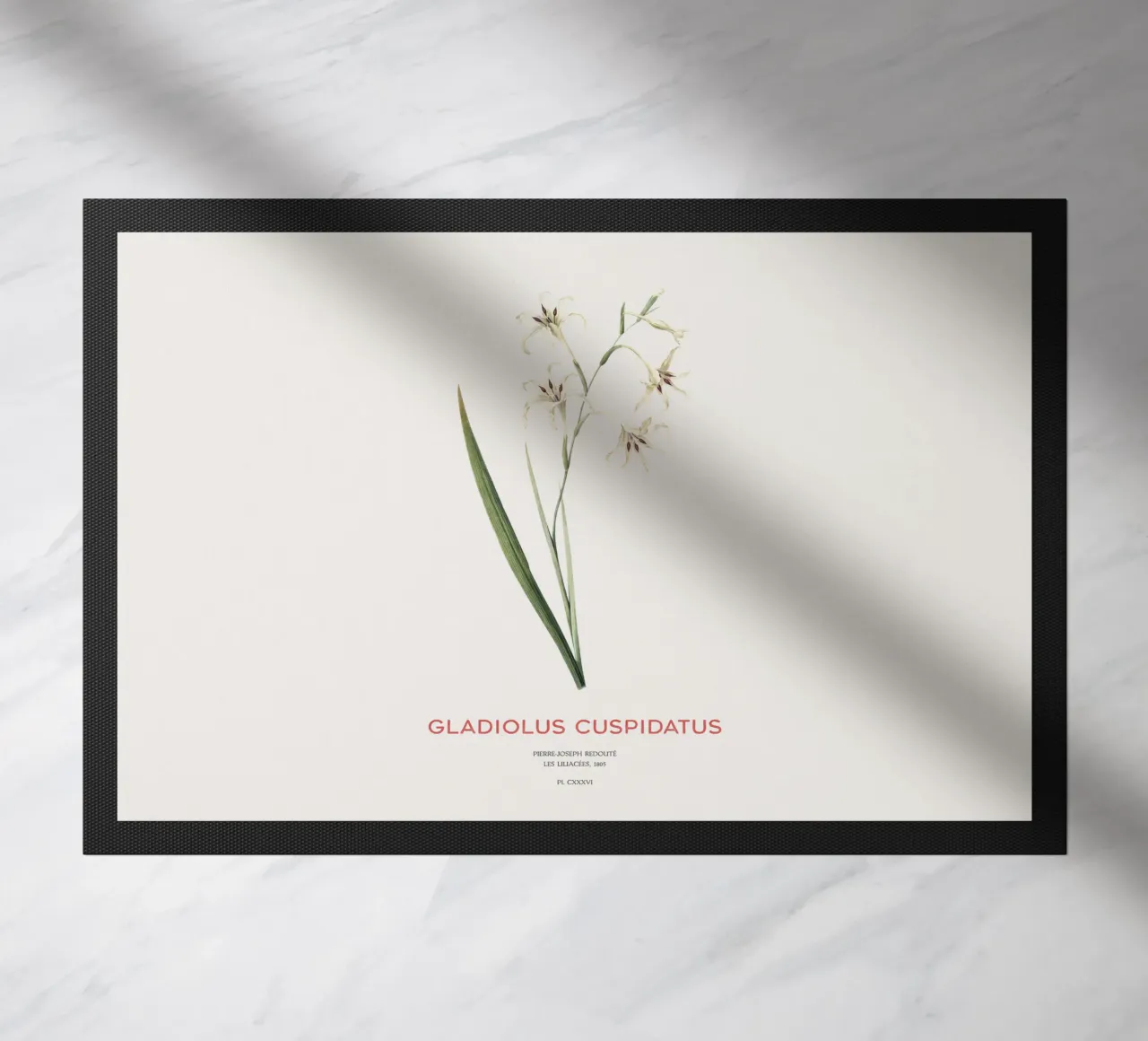 Wilde Gladiole oder Gladiolus cuspidatus Fußmatte von Vintagrafica