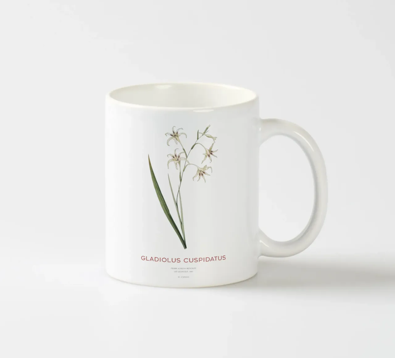 Wilde Gladiole oder Gladiolus cuspidatus Keramik Tasse von Vintagrafica