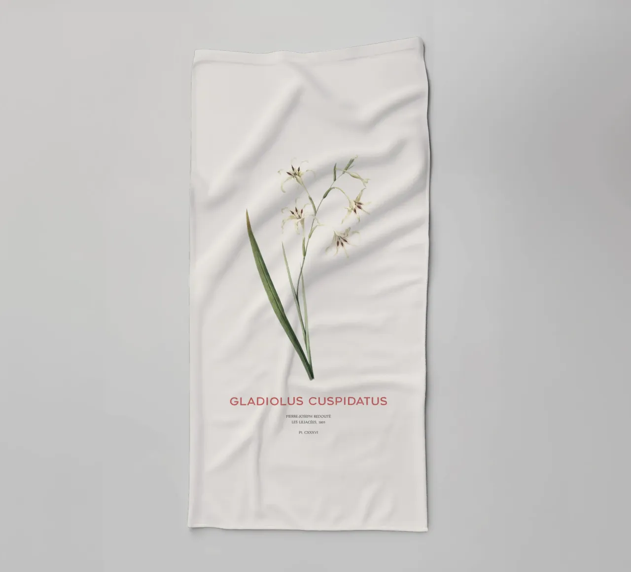 Wilde Gladiole oder Gladiolus cuspidatus Handtuch von Vintagrafica