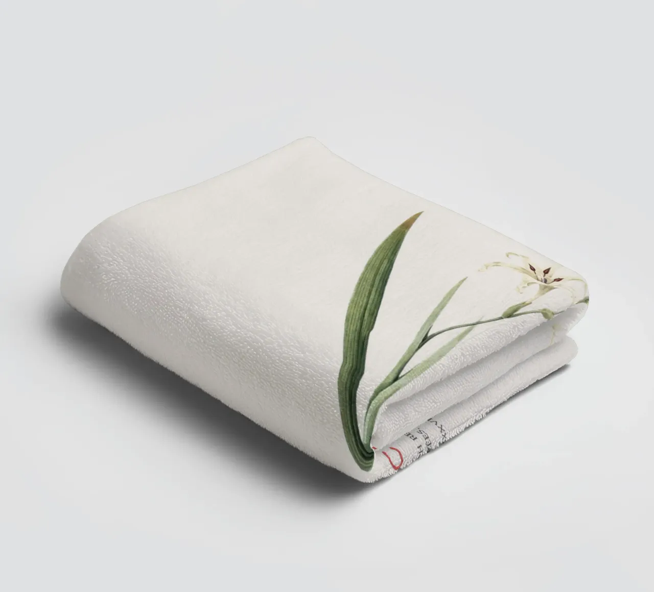 Wilde Gladiole oder Gladiolus cuspidatus Handtuch von Vintagrafica