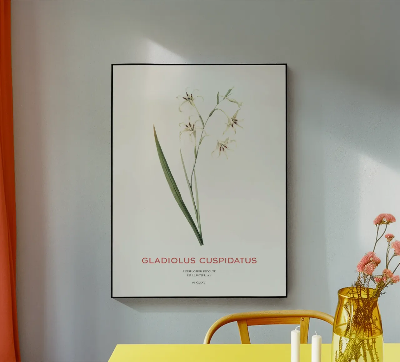 Wilde Gladiole oder Gladiolus cuspidatus Acryl-Glas von Vintagrafica