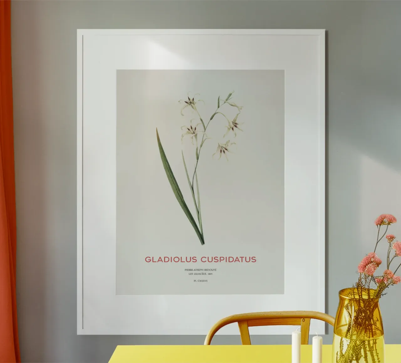 Wilde Gladiole oder Gladiolus cuspidatus Hahnemühle von Vintagrafica