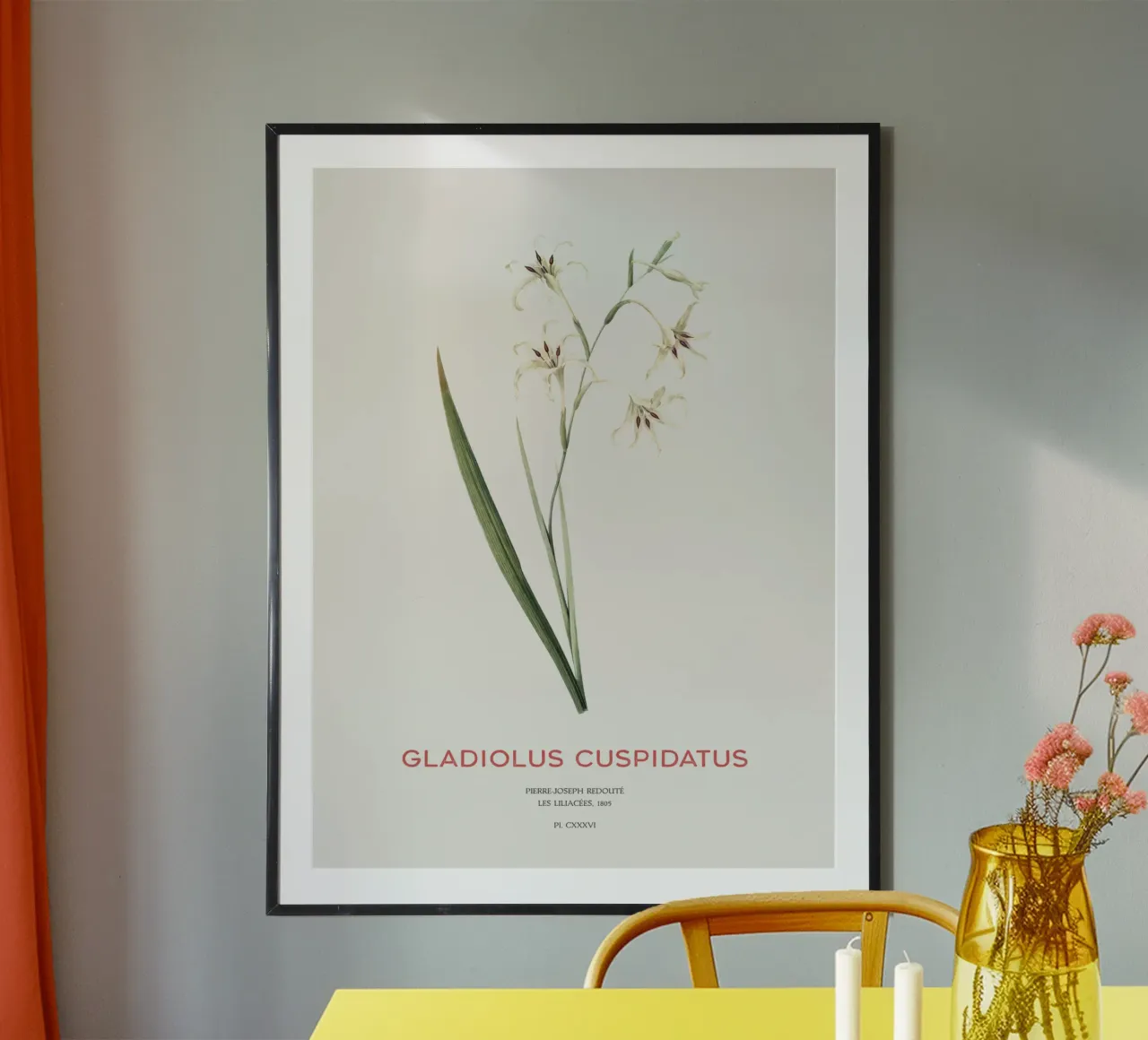 Wilde Gladiole oder Gladiolus cuspidatus Hahnemühle von Vintagrafica