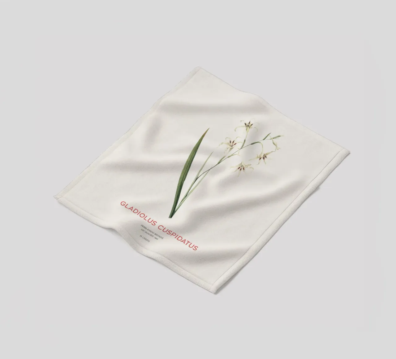 Wilde Gladiole oder Gladiolus cuspidatus Fleecedecke von Vintagrafica