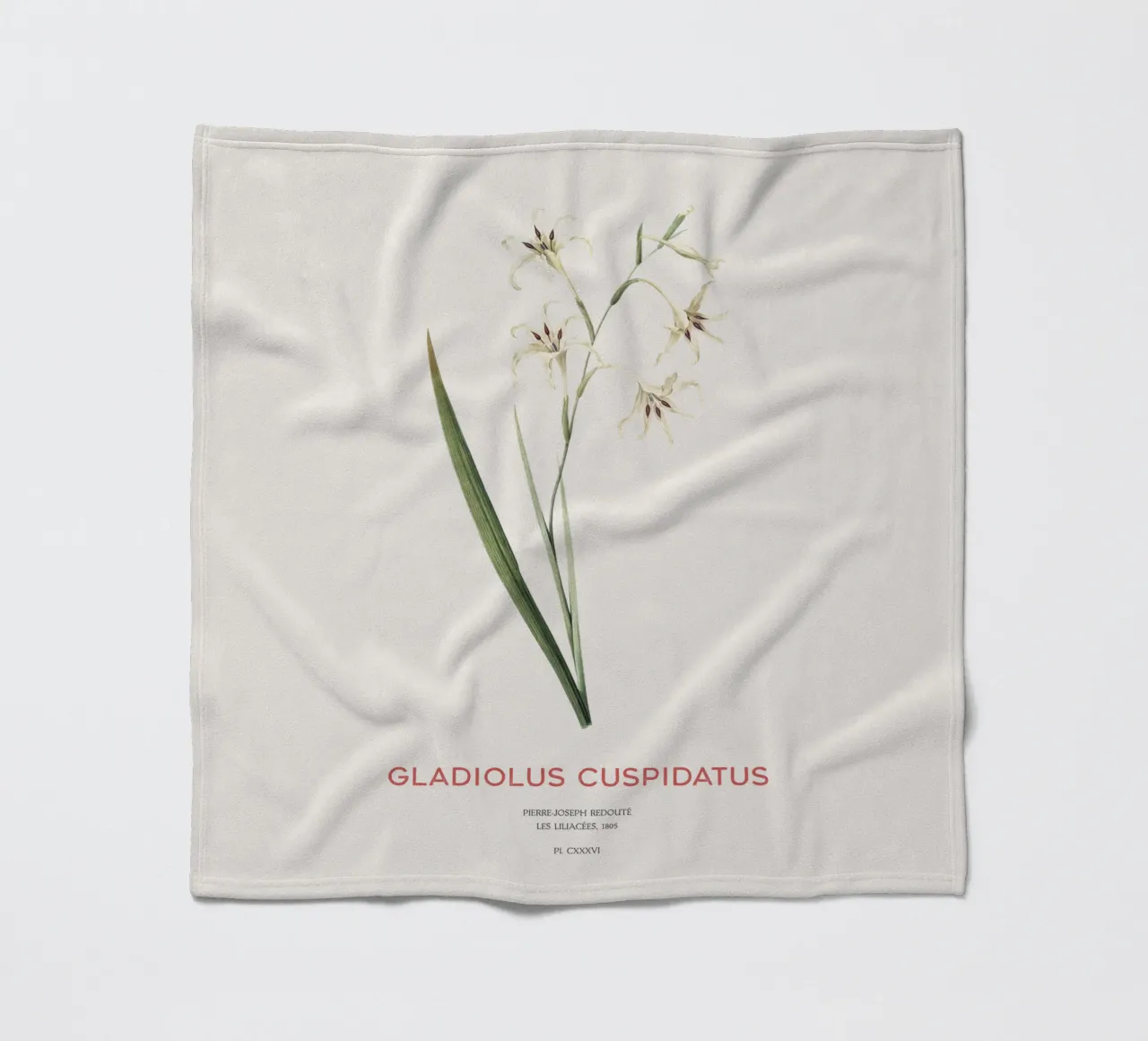 Wilde Gladiole oder Gladiolus cuspidatus Fleecedecke von Vintagrafica
