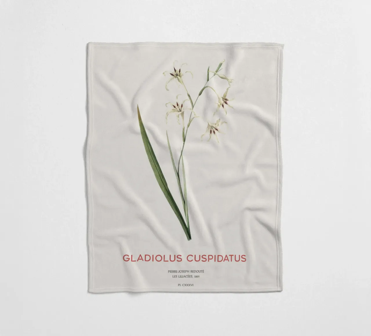 Wilde Gladiole oder Gladiolus cuspidatus Fleecedecke von Vintagrafica