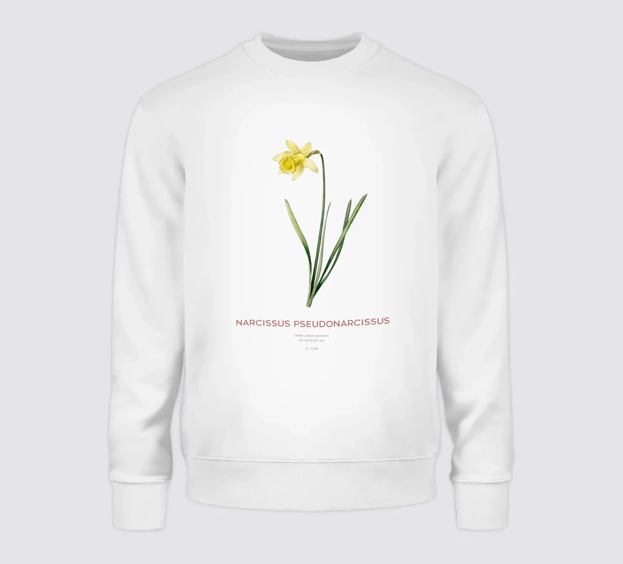 Giglio della quaresima o Narcissus pseudonarcissus felpa da Vintagrafica