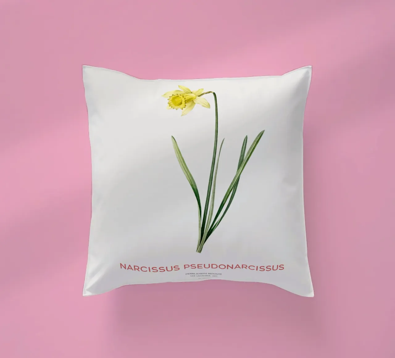 Giglio della quaresima o Narcissus pseudonarcissus cuscino da Vintagrafica