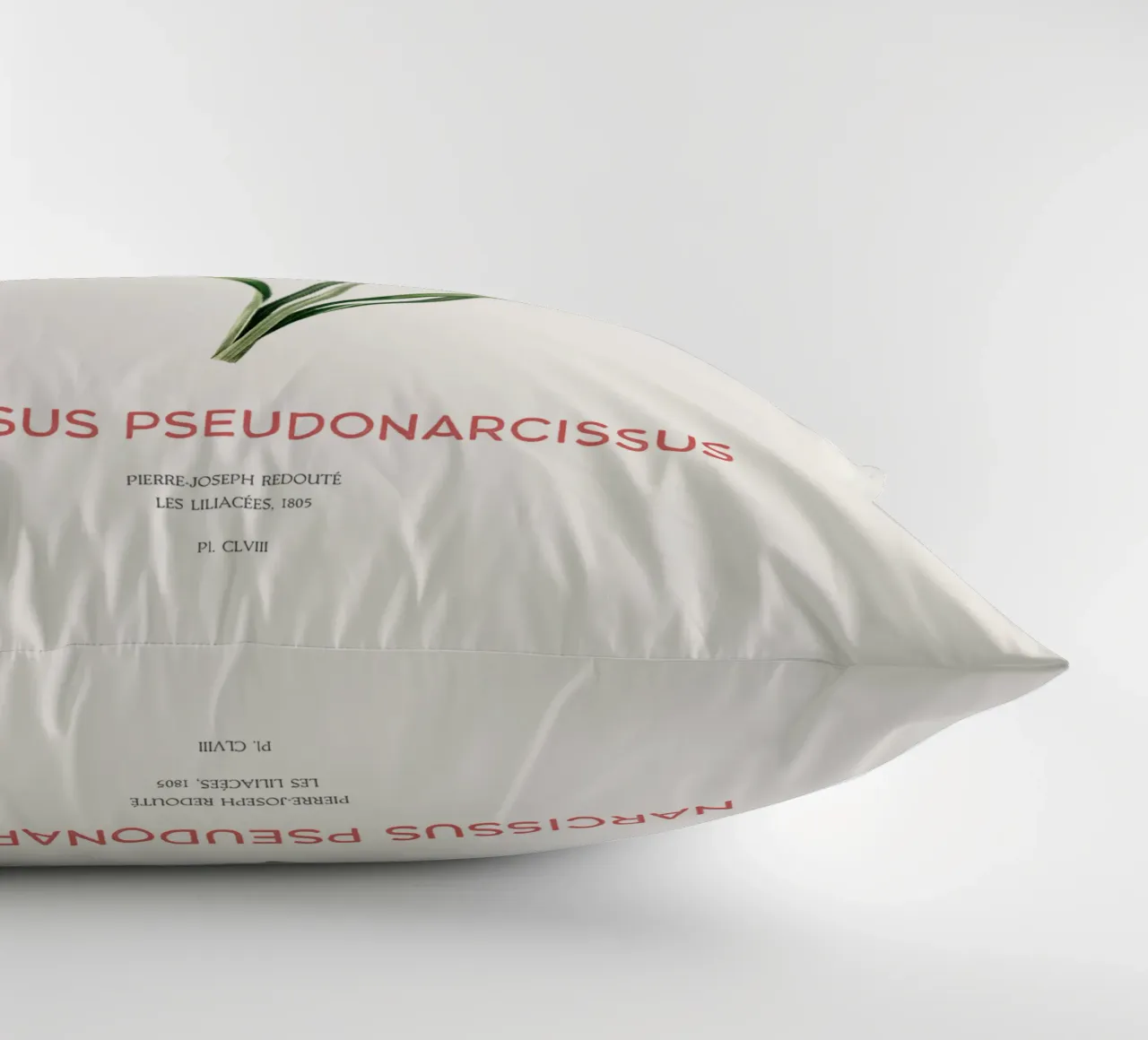 Giglio della quaresima o Narcissus pseudonarcissus cuscino da Vintagrafica