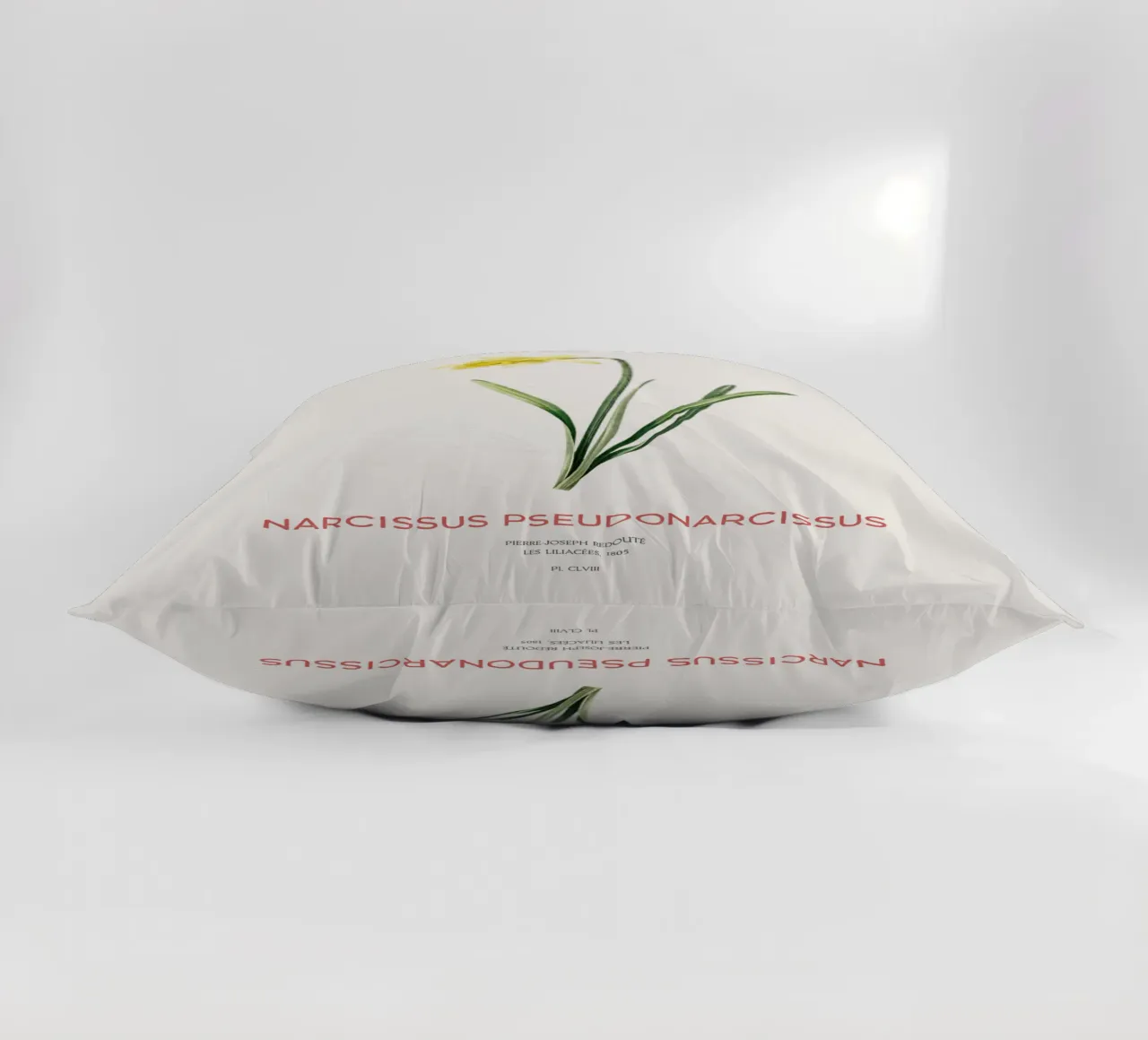 Giglio della quaresima o Narcissus pseudonarcissus cuscino da Vintagrafica