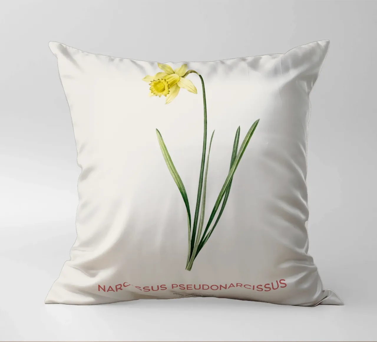 Giglio della quaresima o Narcissus pseudonarcissus cuscino da Vintagrafica