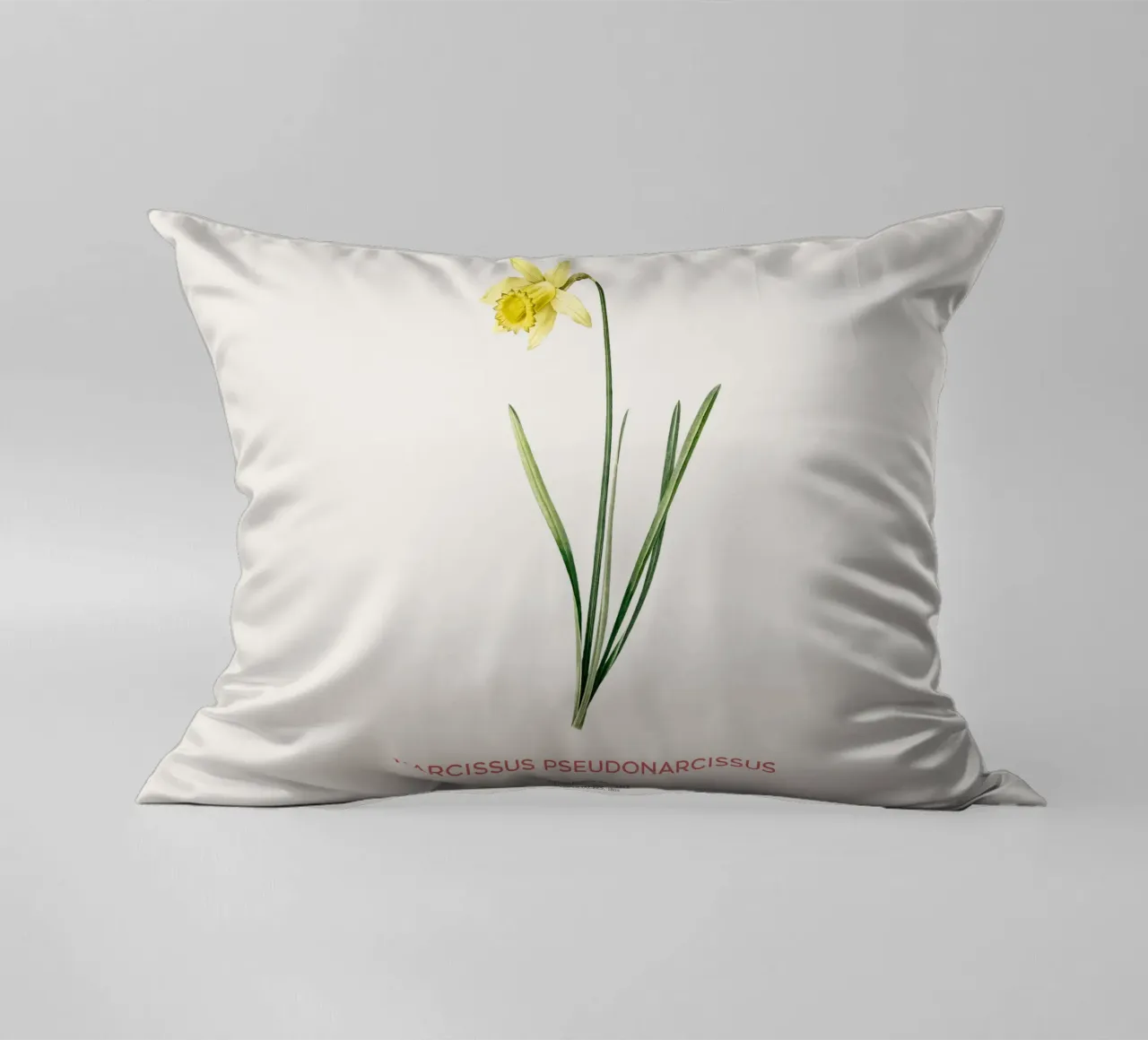 Giglio della quaresima o Narcissus pseudonarcissus cuscino da Vintagrafica