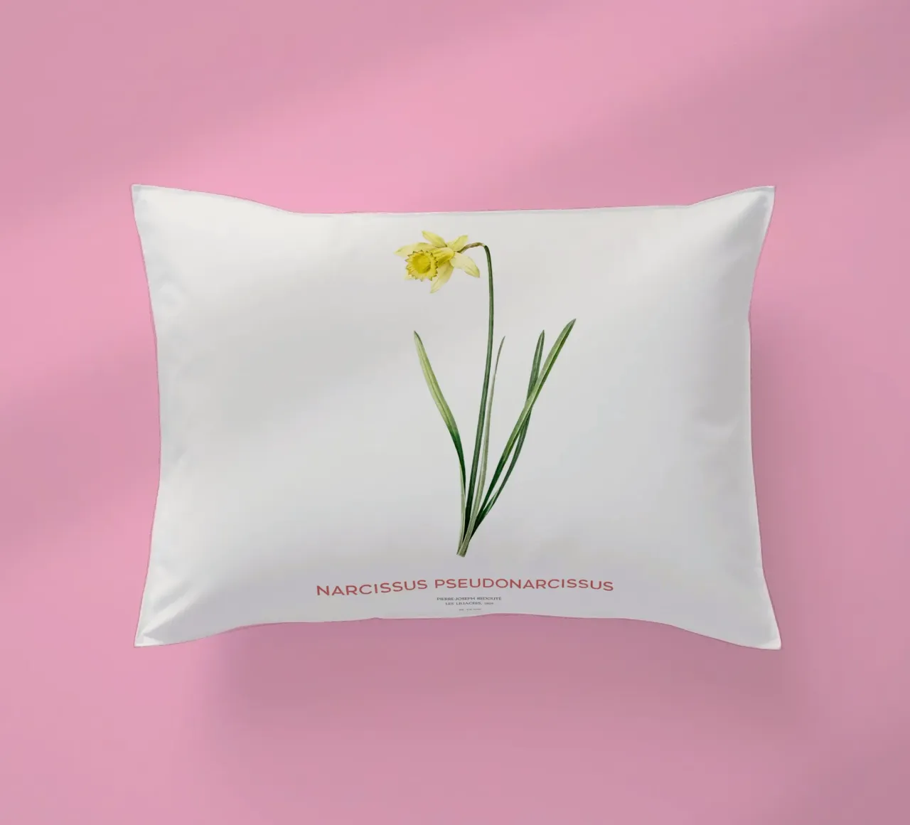 Giglio della quaresima o Narcissus pseudonarcissus cuscino da Vintagrafica