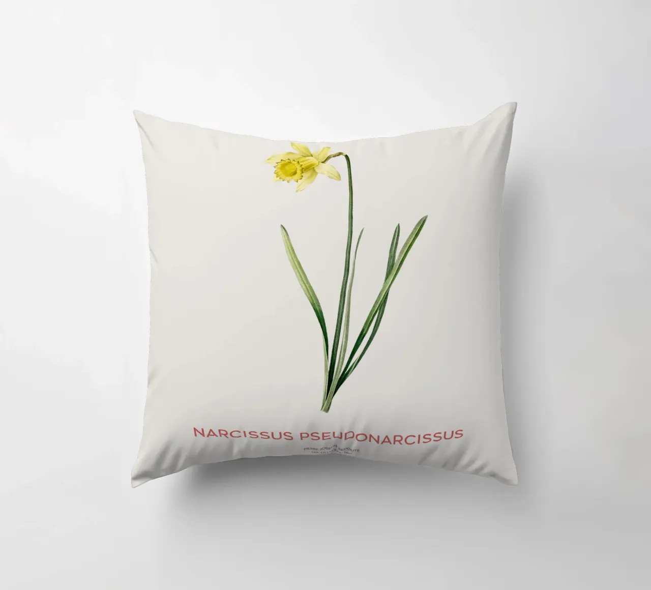 Giglio della quaresima o Narcissus pseudonarcissus cuscino da Vintagrafica