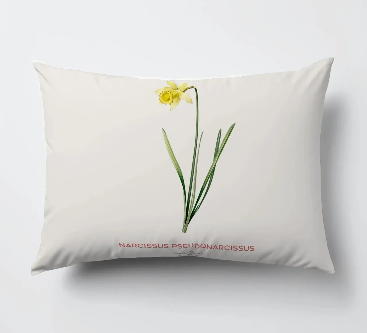 Giglio della quaresima o Narcissus pseudonarcissus cuscino da Vintagrafica