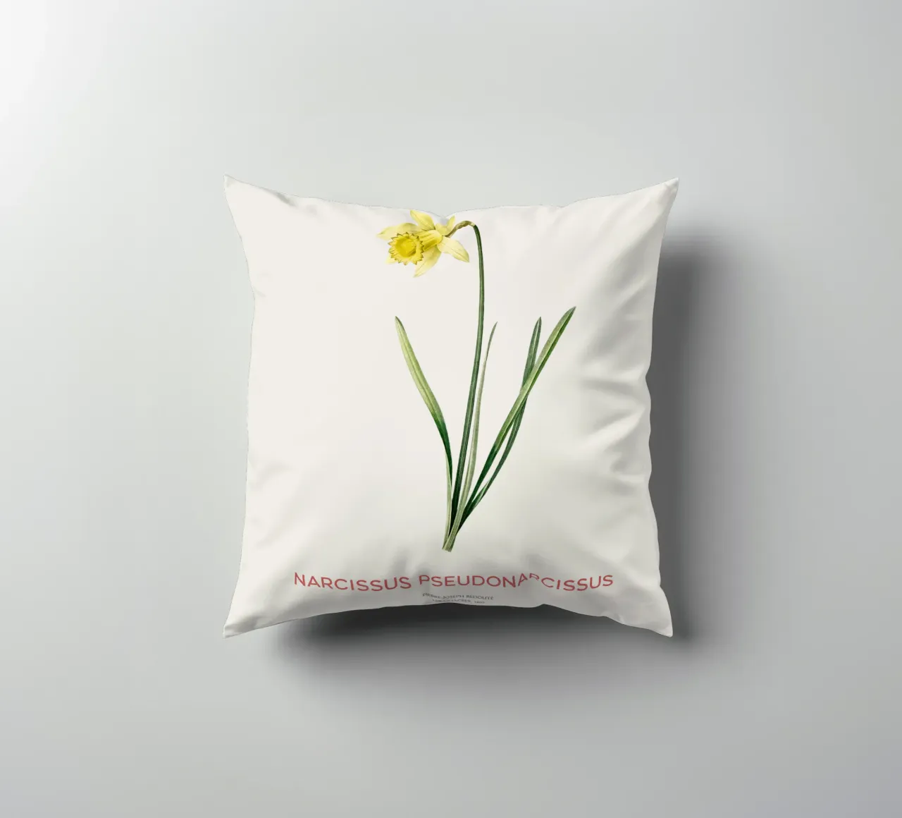 Giglio della quaresima o Narcissus pseudonarcissus cuscino da Vintagrafica