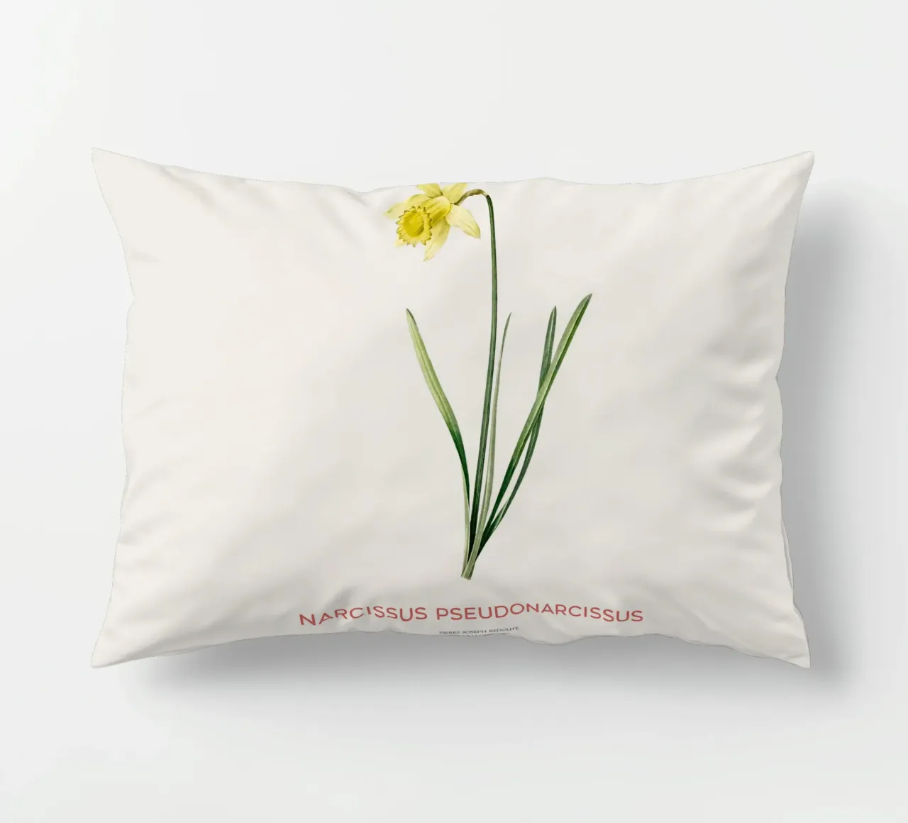 Giglio della quaresima o Narcissus pseudonarcissus cuscino da Vintagrafica