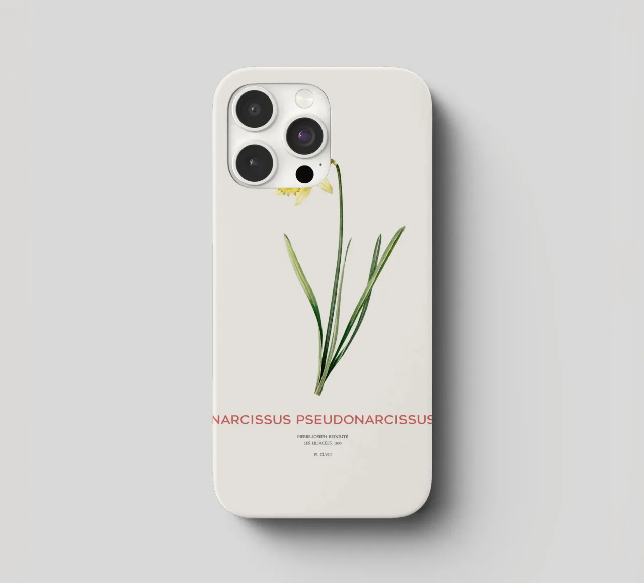Fastenlilie oder Narcissus pseudonarcissus iPhone Hülle von Vintagrafica