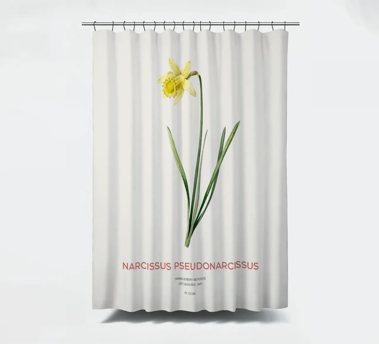 Fastenlilie oder Narcissus pseudonarcissus Duschvorhang von Vintagrafica