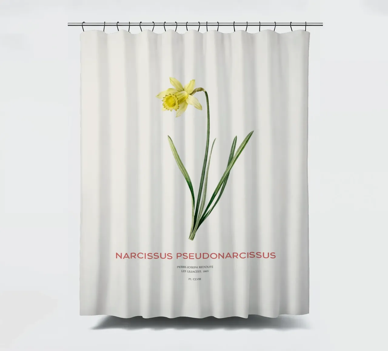 Fastenlilie oder Narcissus pseudonarcissus Duschvorhang von Vintagrafica