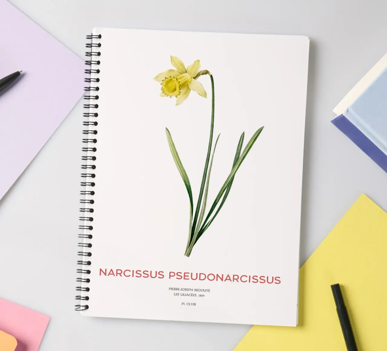 Fastenlilie oder Narcissus pseudonarcissus Ringbuch von Vintagrafica