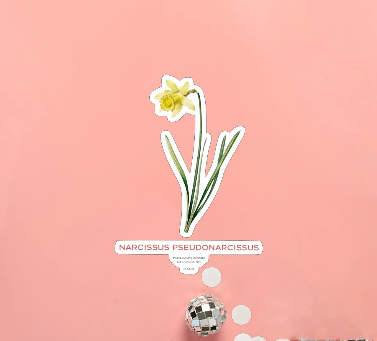 Fastenlilie oder Narcissus pseudonarcissus Sticker von Vintagrafica