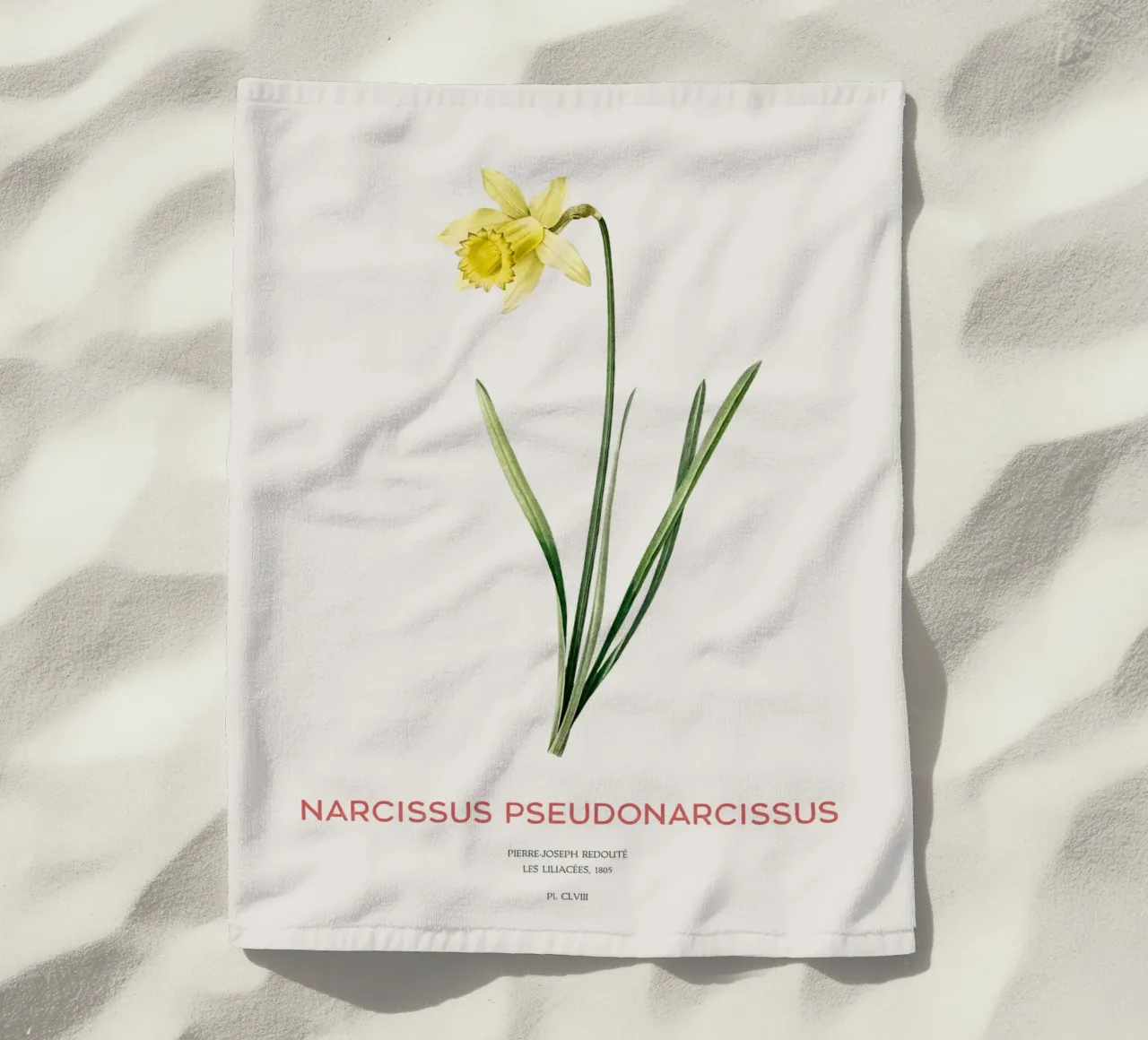 Fastenlilie oder Narcissus pseudonarcissus Strandtuch von Vintagrafica