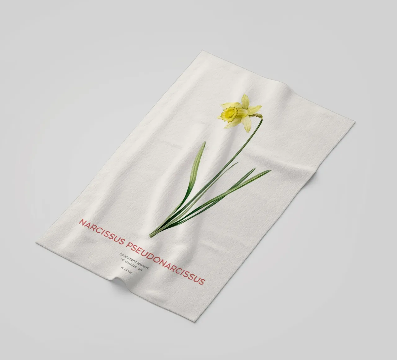 Fastenlilie oder Narcissus pseudonarcissus Strandtuch von Vintagrafica