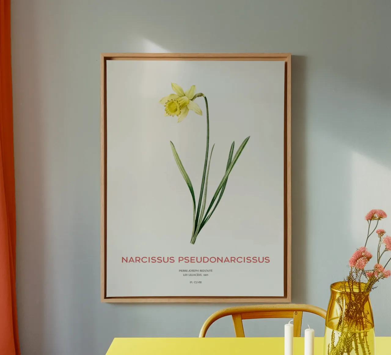 Lent lily or Narcissus pseudonarcissus canvas by Vintagrafica